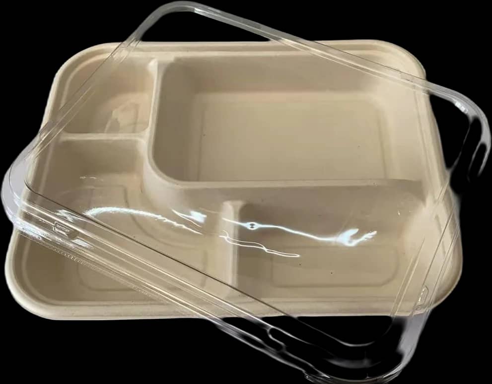 Bio Bento box