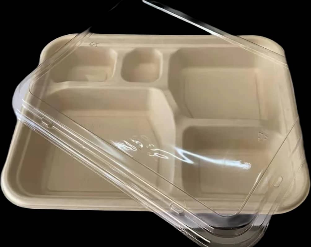 Bio Bento box